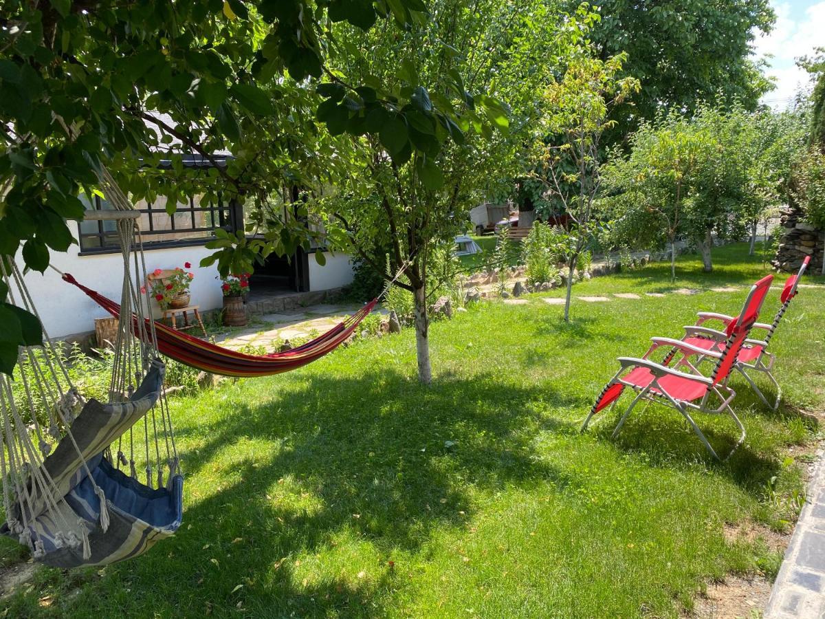 Hotel Agropa Garden Prundul Birgaului Exteriér fotografie